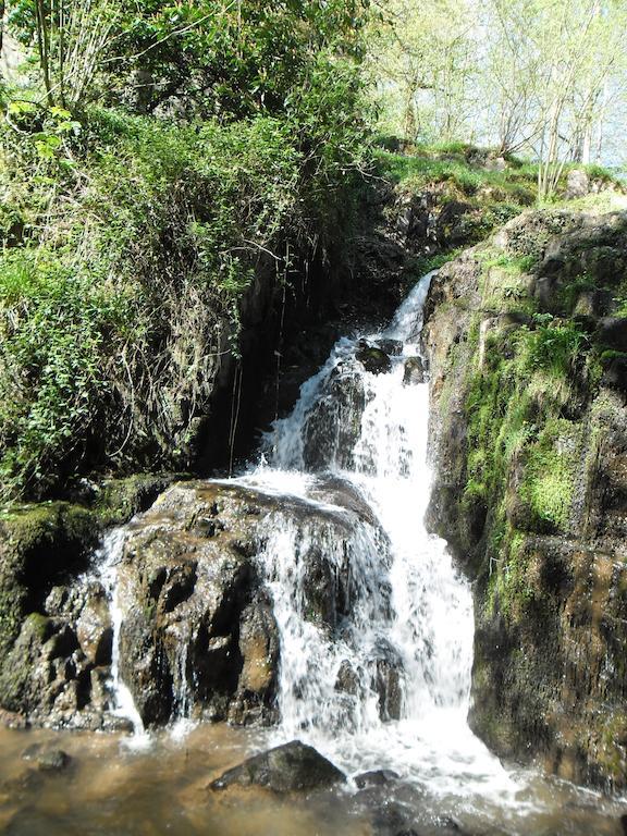 La Chevallerie B&B Isigny-le-Buat Bagian luar foto