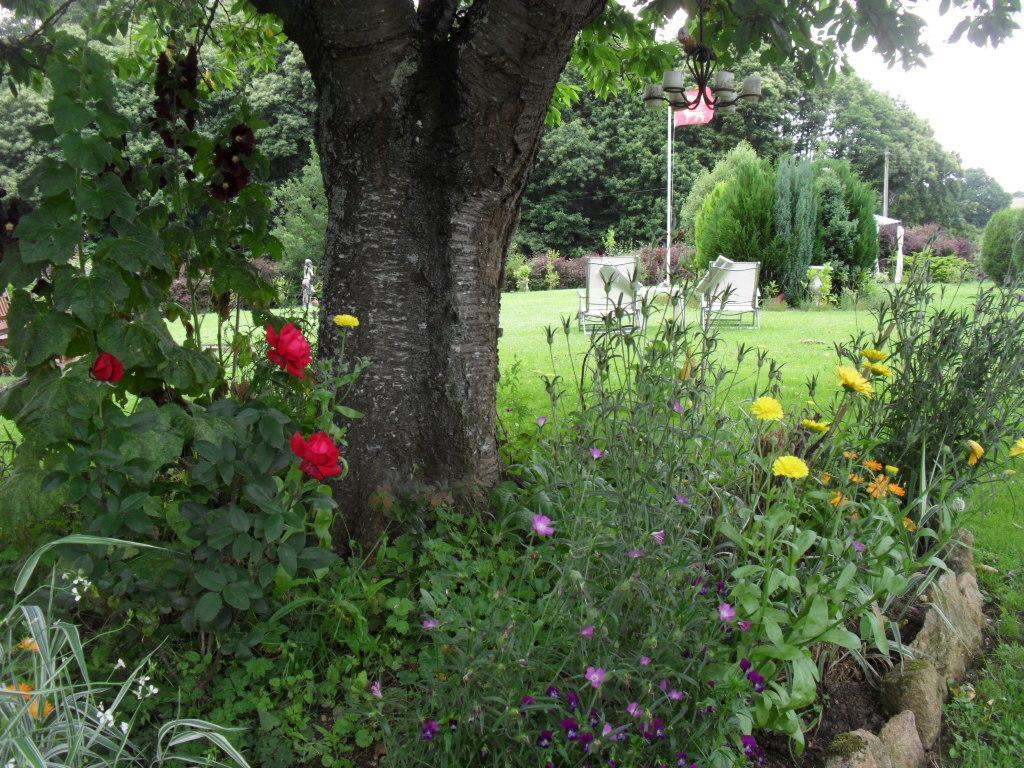 La Chevallerie B&B Isigny-le-Buat Bagian luar foto
