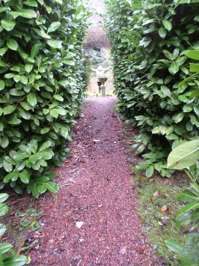 La Chevallerie B&B Isigny-le-Buat Bagian luar foto
