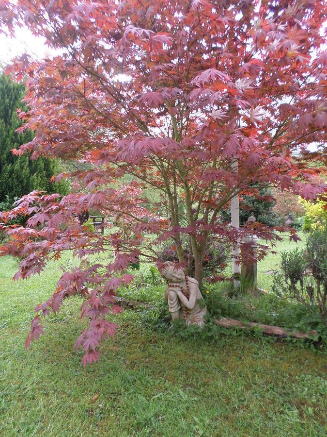 La Chevallerie B&B Isigny-le-Buat Bagian luar foto