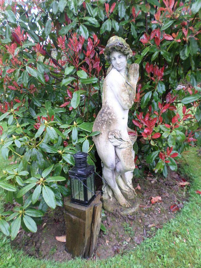 La Chevallerie B&B Isigny-le-Buat Bagian luar foto