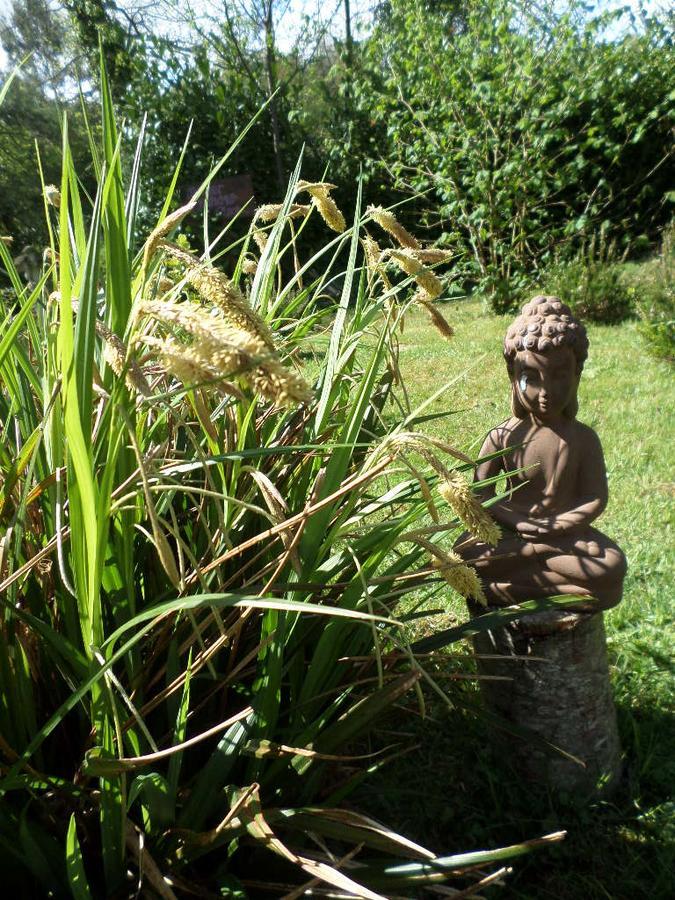 La Chevallerie B&B Isigny-le-Buat Bagian luar foto